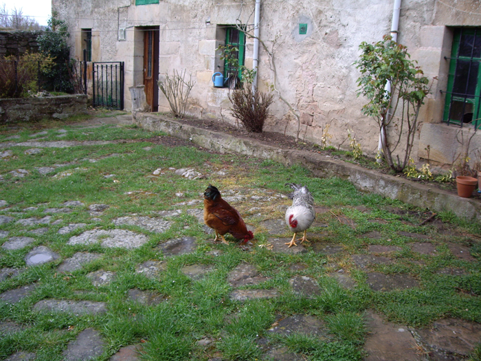 IMGP0426