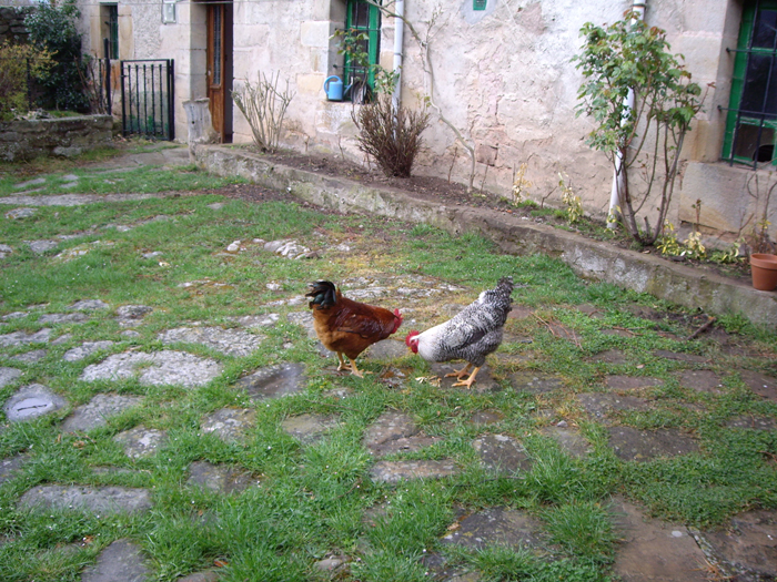 IMGP0427