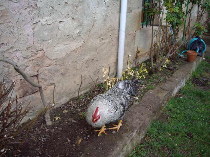 IMGP0428