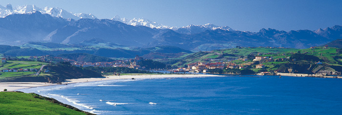 Bay