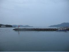 IMG_1308