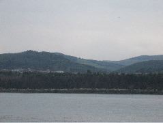 IMG_1289