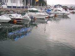 P1010115.JPG