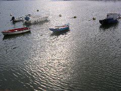 P1010098.JPG