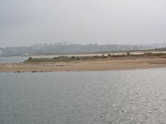 P1010101.JPG