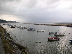 P1010090.JPG