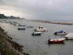 P1010099.JPG
